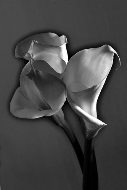 Solarize Black and White Photography The Sabattier Effect